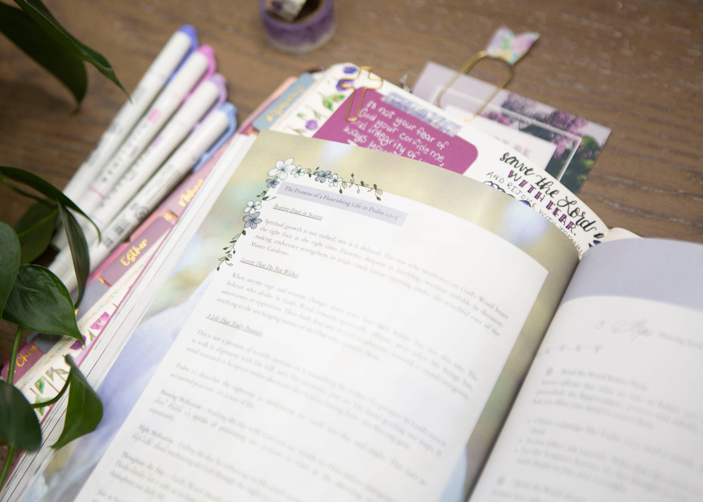 Harmony | How To Renew Your Mind