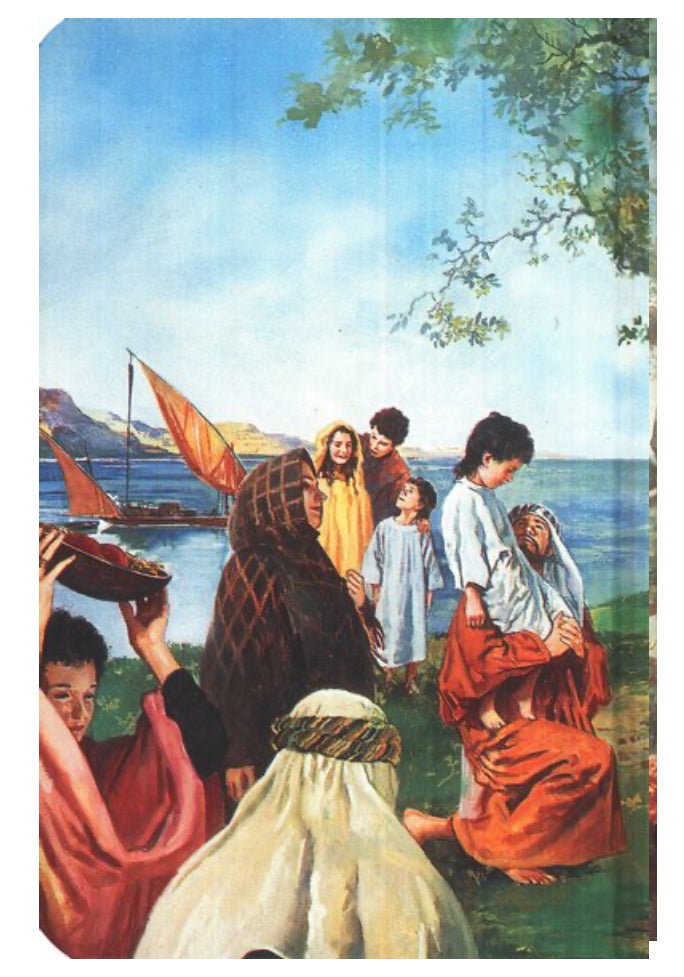 KJV Seaside Childrens Bible | Hardcover with Box