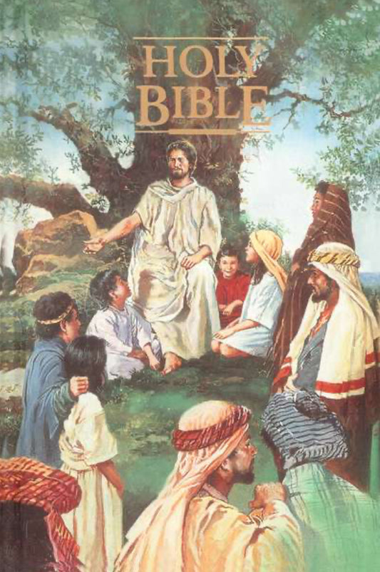 KJV Seaside Childrens Bible | Hardcover with Box