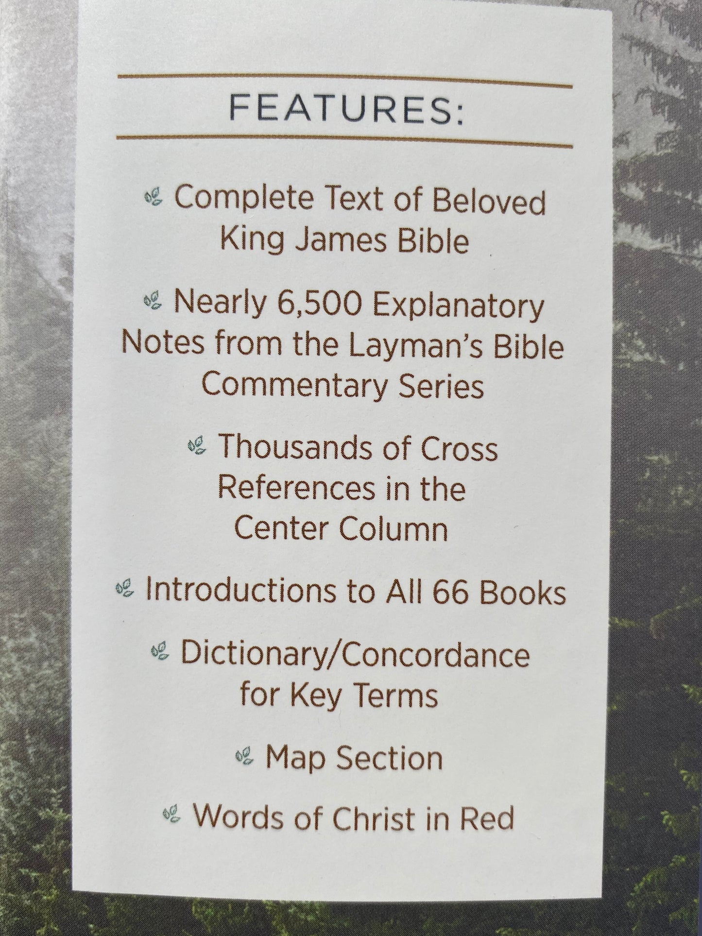 KJV Cross Reference Study Bible
