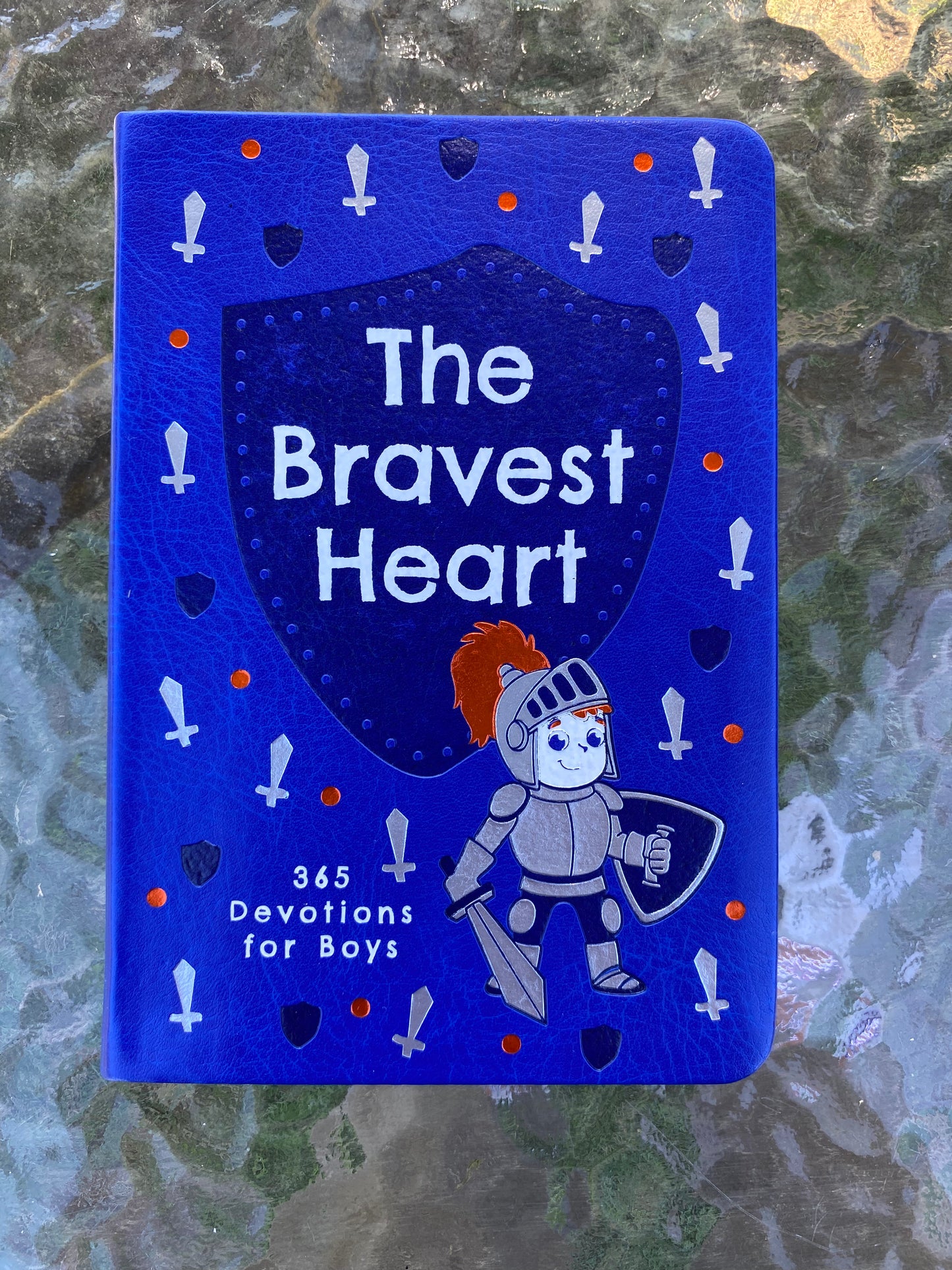 The Bravest Heart - 365 Daily Devotions for Boys