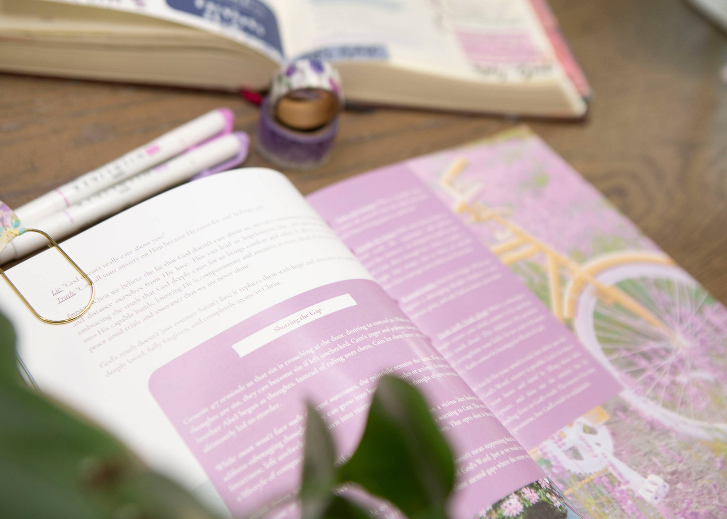 Harmony | How To Renew Your Mind