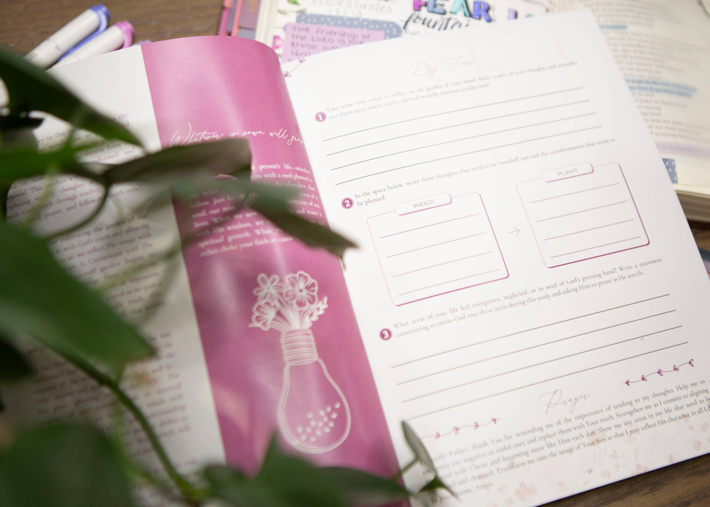 Harmony | How To Renew Your Mind