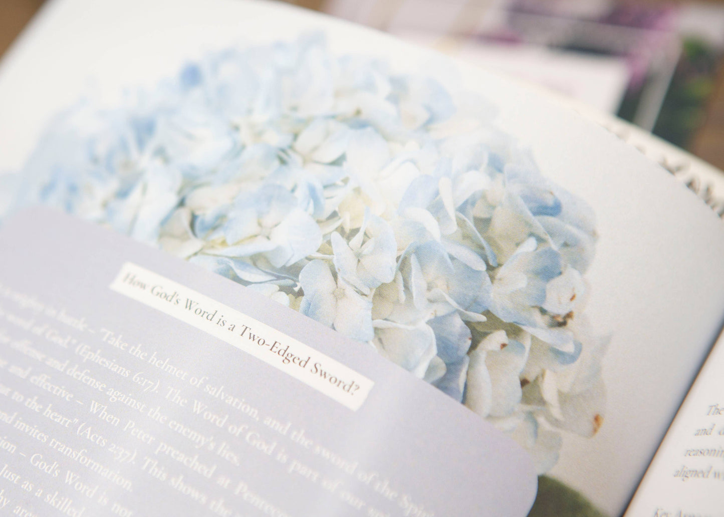 Harmony | How To Renew Your Mind