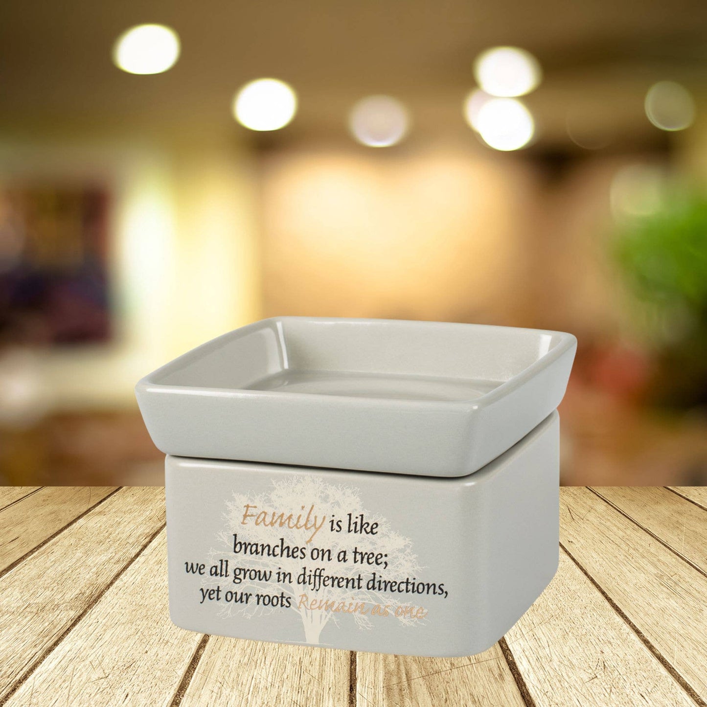 Family 2-in-1 Warmer