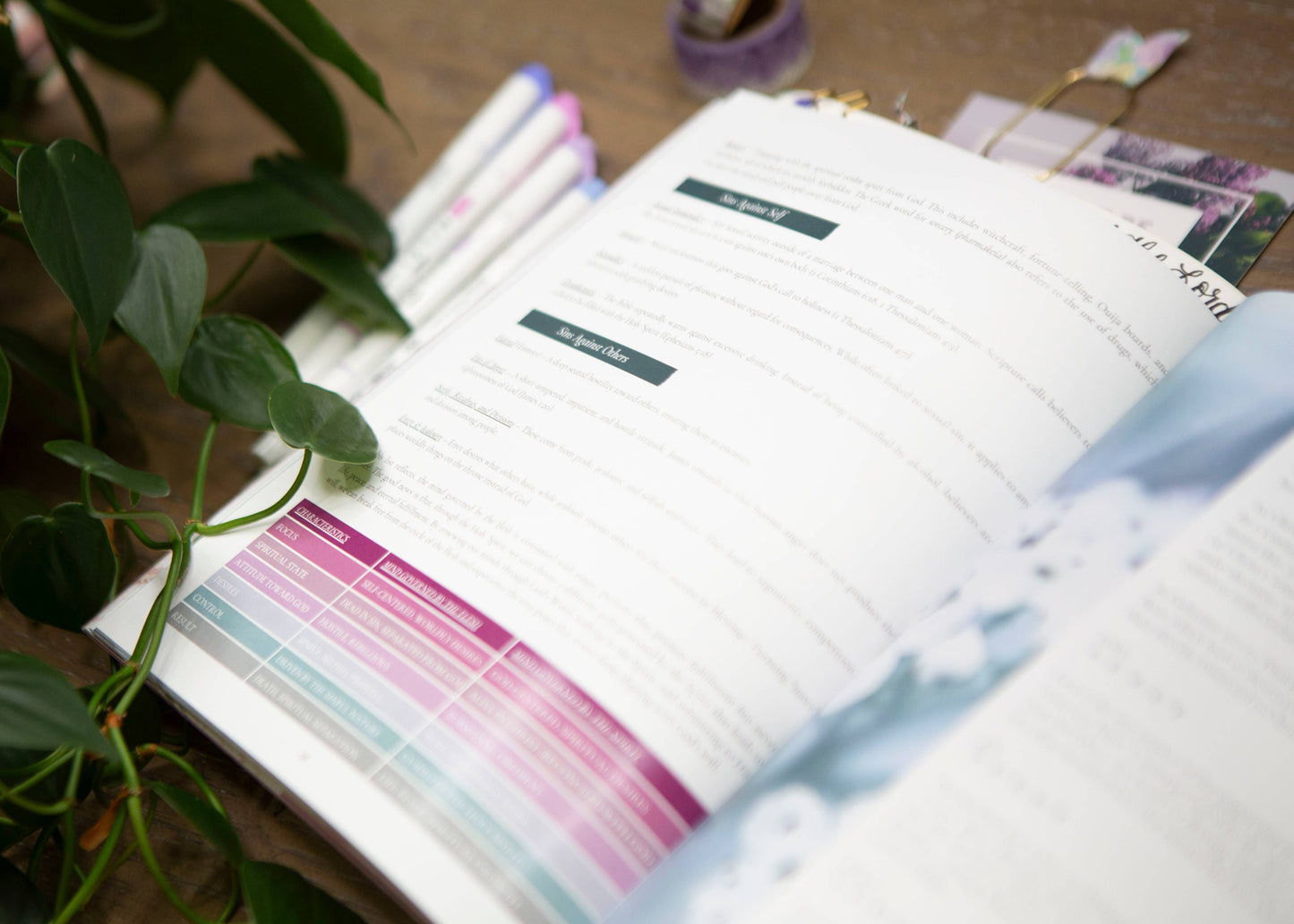 Harmony | How To Renew Your Mind