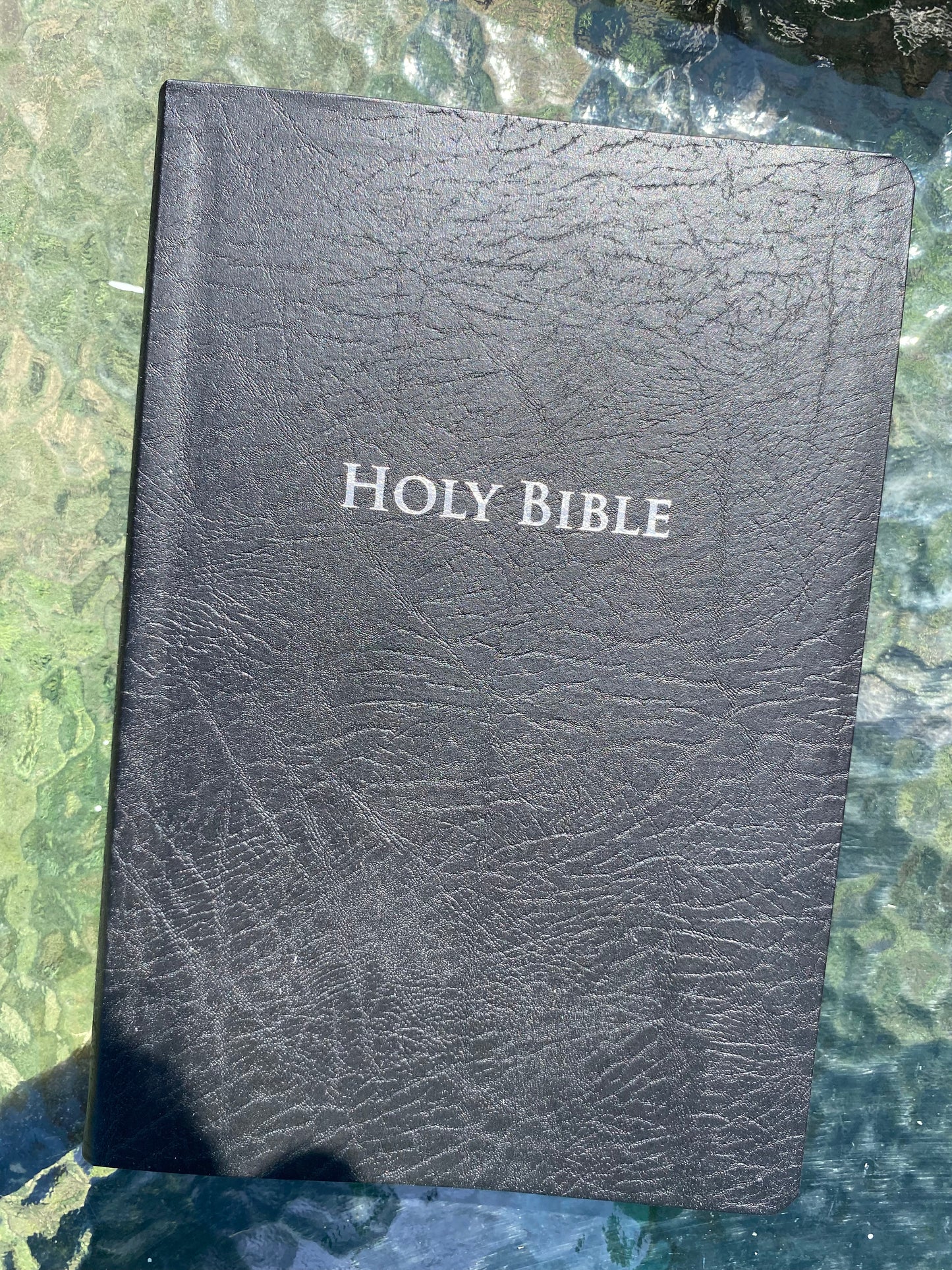 King James Study Bible