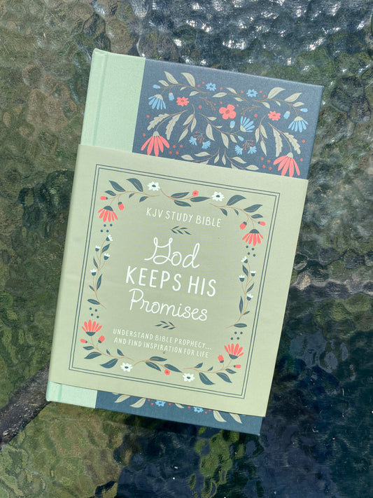 God Keeps His Promises Study Bible