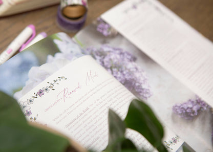 Harmony | How To Renew Your Mind